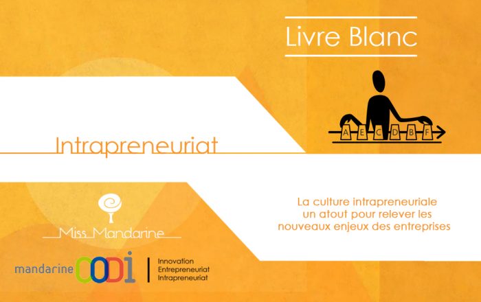Mettre en avant le Livre Blanc sur l'Intrapreneuriat !